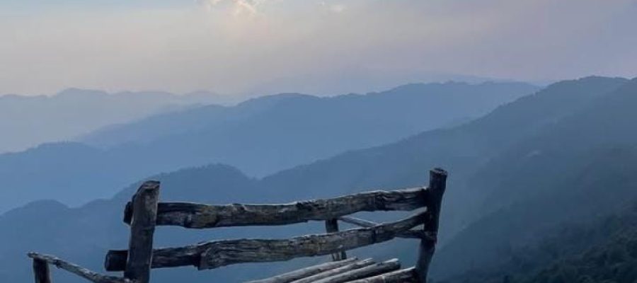 WhatsAppImage2025-01-28at52125PM